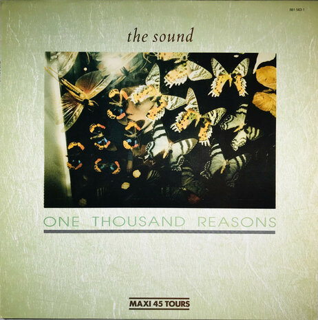 The Sound - One Thousand Reasons (1984)