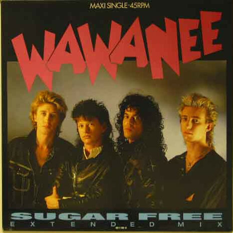 Wa Wa Nee - Sugar Free (1987)